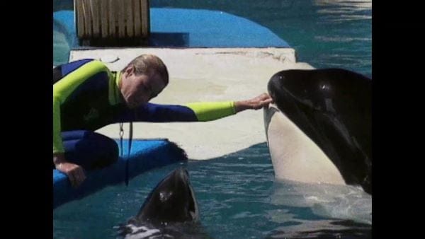 digital blockbuster Resident Orca (2024) NEW SUMMER 50OFF