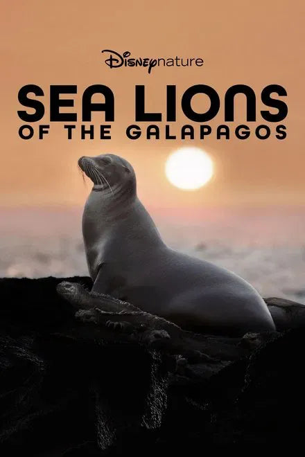digital blockbuster Sea Lions of the Galapagos (2025)