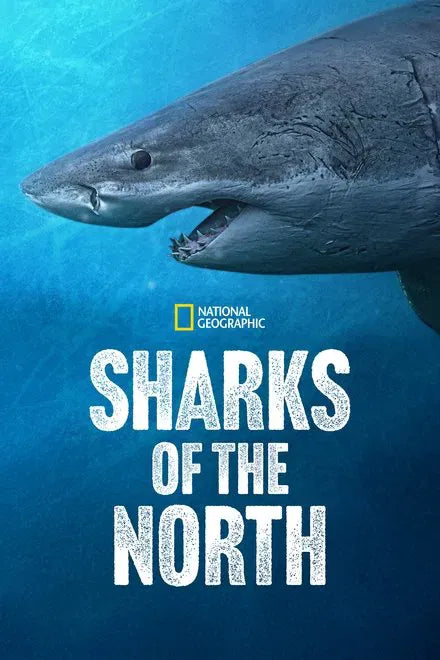 digital blockbuster Sharks of the North (2025) NEW