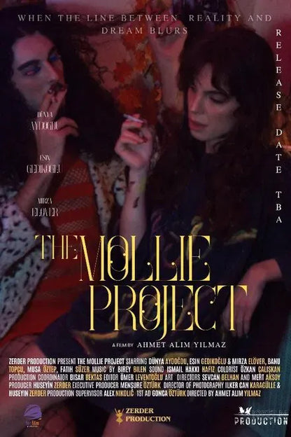 digital blockbuster The Mollie Project (2025) NEW