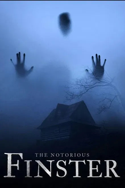 digital blockbuster The Notorious Finster (2024) NEW SUMMER 50OFF