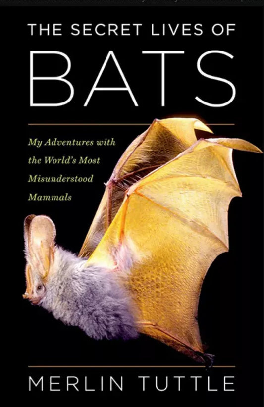 digital blockbuster The Secret Life of Bats (2025) NEW