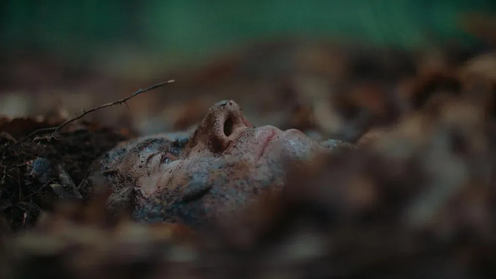 digital blockbuster The Woods Are Real (2024) NEW