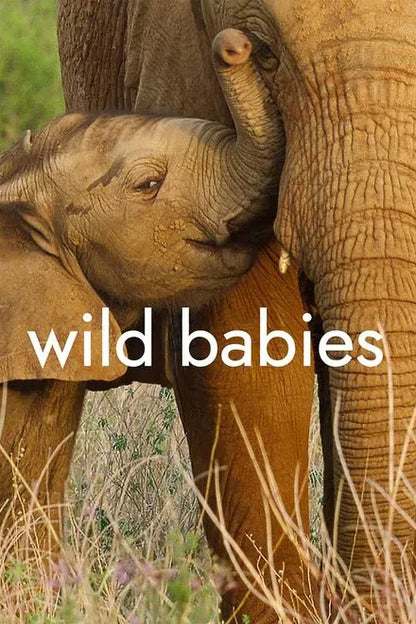 digital blockbuster Wild Babies (2022) TV SERIES