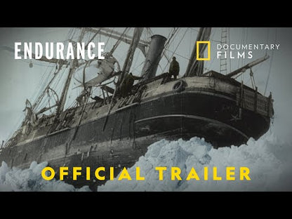 Endurance (2024)