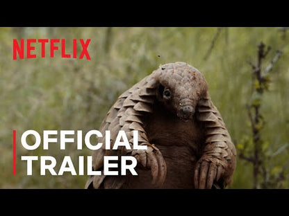 Pangolin: Kulu's Journey (2025) NEW