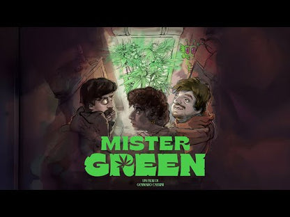 Mister Green (2024) NEW