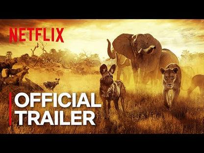 Surviving Paradise: A Family Tale (2022) NEW