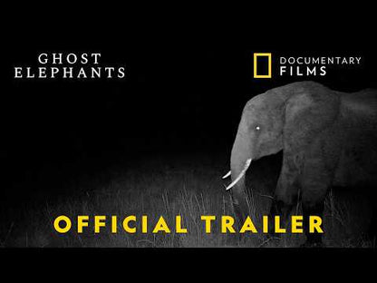 Ghost Elephants (2026)