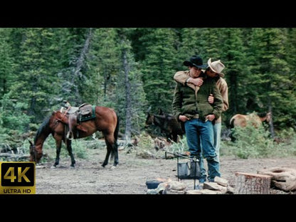 Brokeback Mountain (2005) NEW