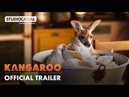 KANGAROO (2025) [STUDIOCANAL FAMILY EXCLUSIVE] / NEW