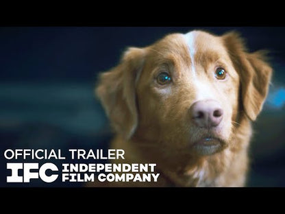 Good Boy (2025) FULL HD NEW