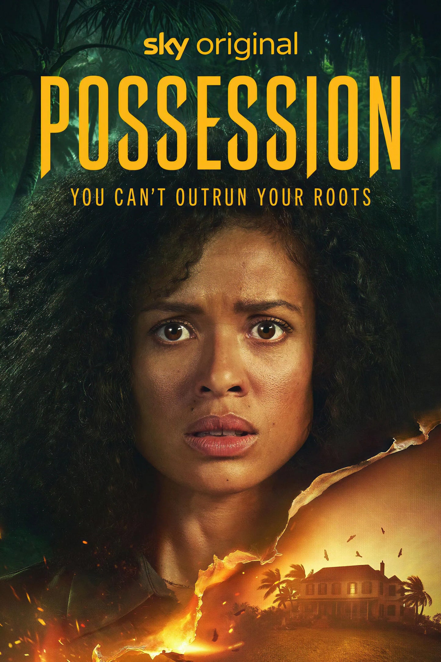 Possession poster