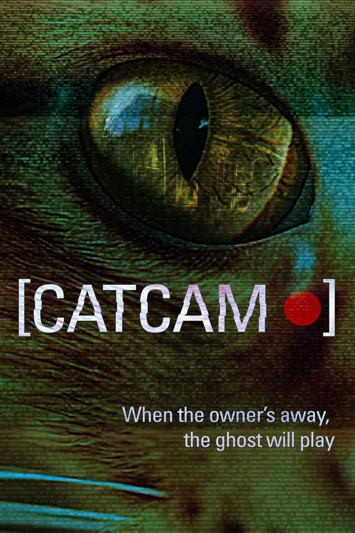 Cat Cam (2026) poster — eye close-up with camera static effect