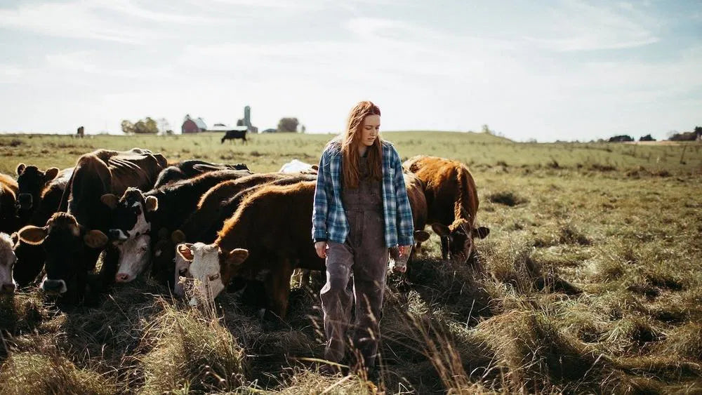 Green and Gold (2025) NEW - digital blockbuster