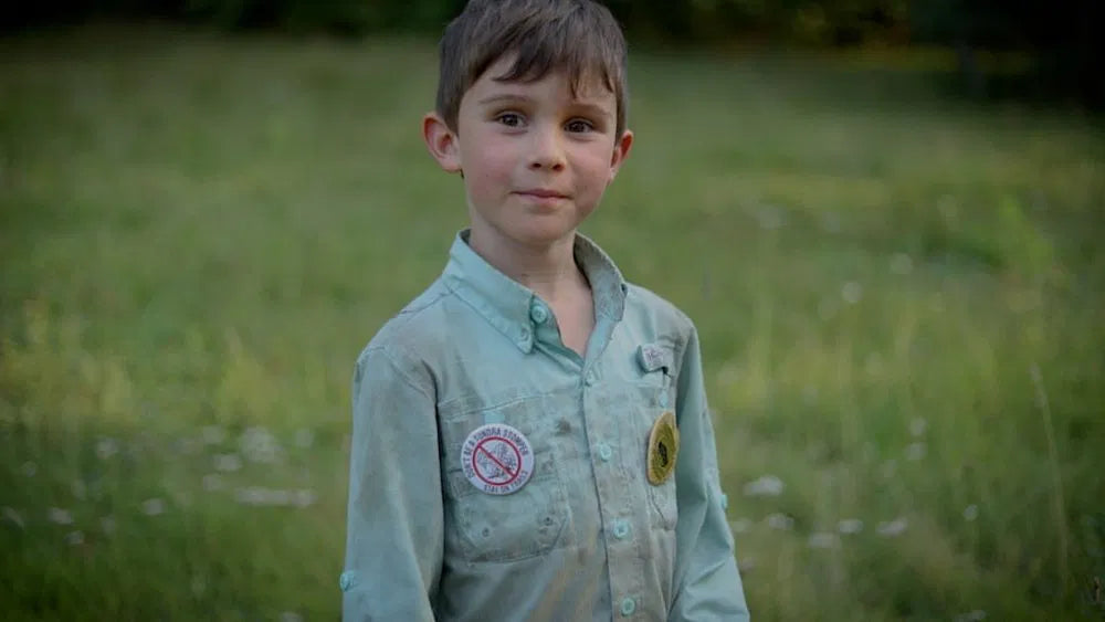 Beyond the Tree Line (2024) NEW